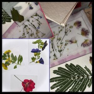 🆕 Genus of Floral Plant Varieties and Species | Pressed Flower Photo Art